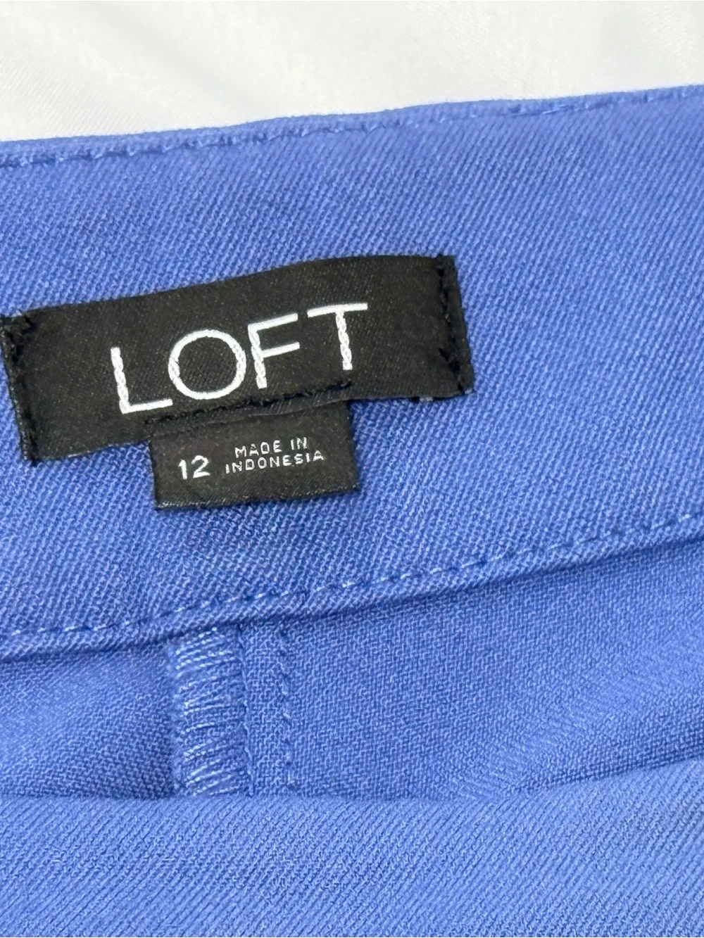 LOFT Royal Blue Women's Pants